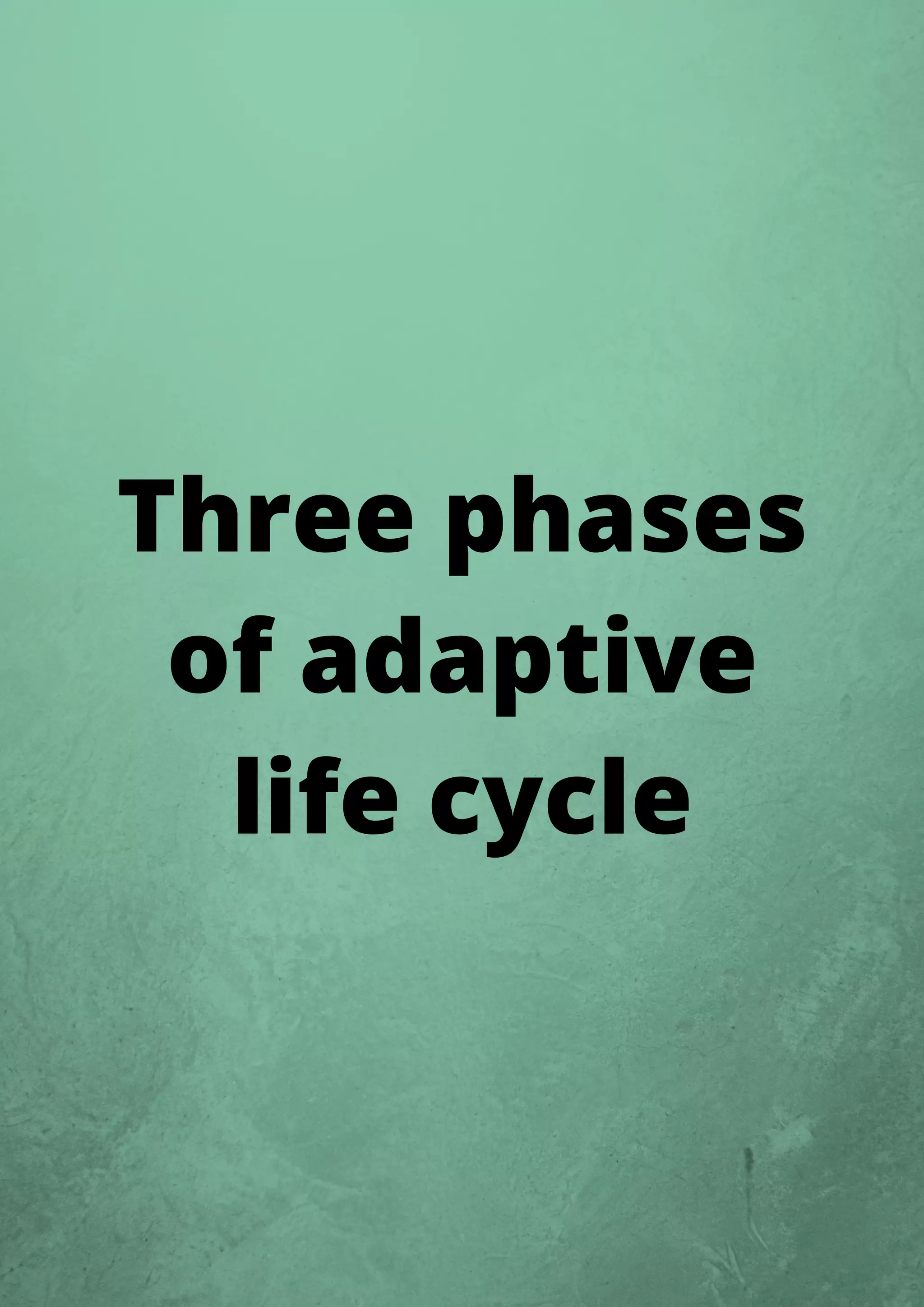 Three phases
of adaptive
life cycle
 