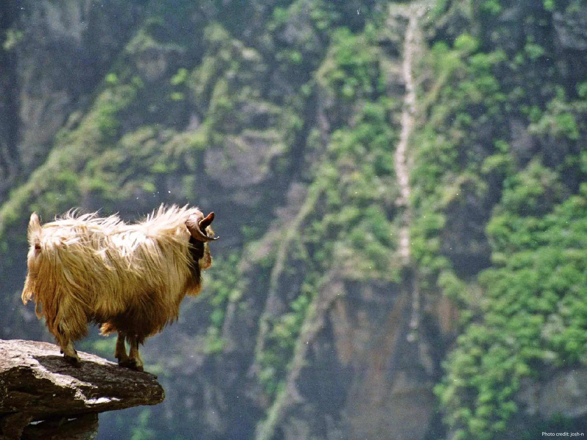 Photo credit: josh-n
 