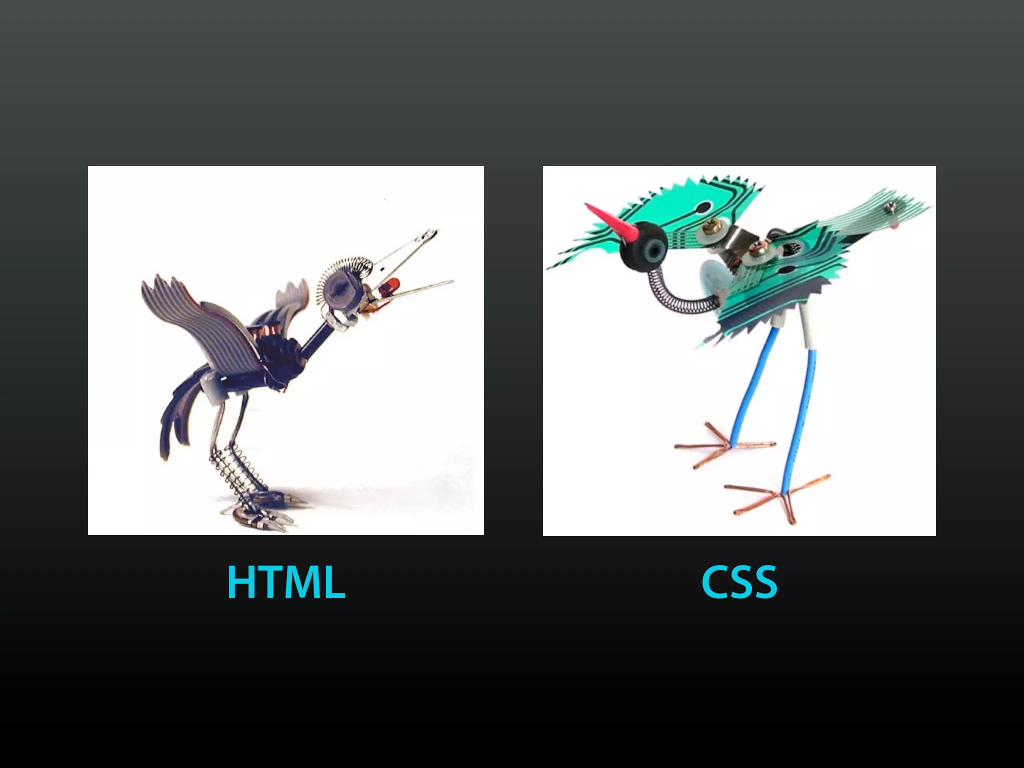 HTML   CSS
 