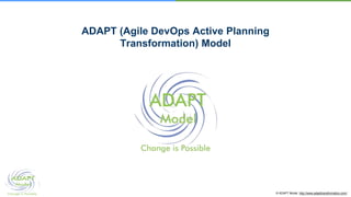 © ADAPT Model. http://www.adapttransformation.com/
ADAPT (Agile DevOps Active Planning
Transformation) Model
 