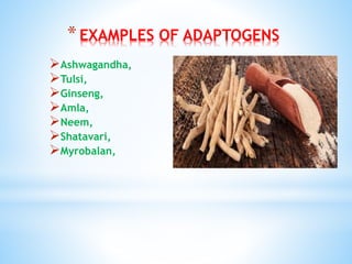 Adaptogens and their exaples | PPTX