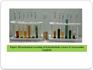 FORMULATION AND CHARACTERIZATION OF COPPER NANOPARTICLES GEL OF ...
