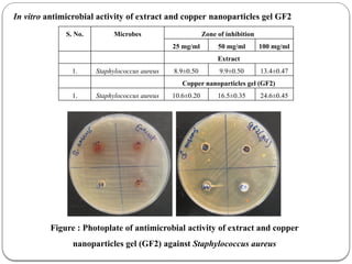 FORMULATION AND CHARACTERIZATION OF COPPER NANOPARTICLES GEL OF ...