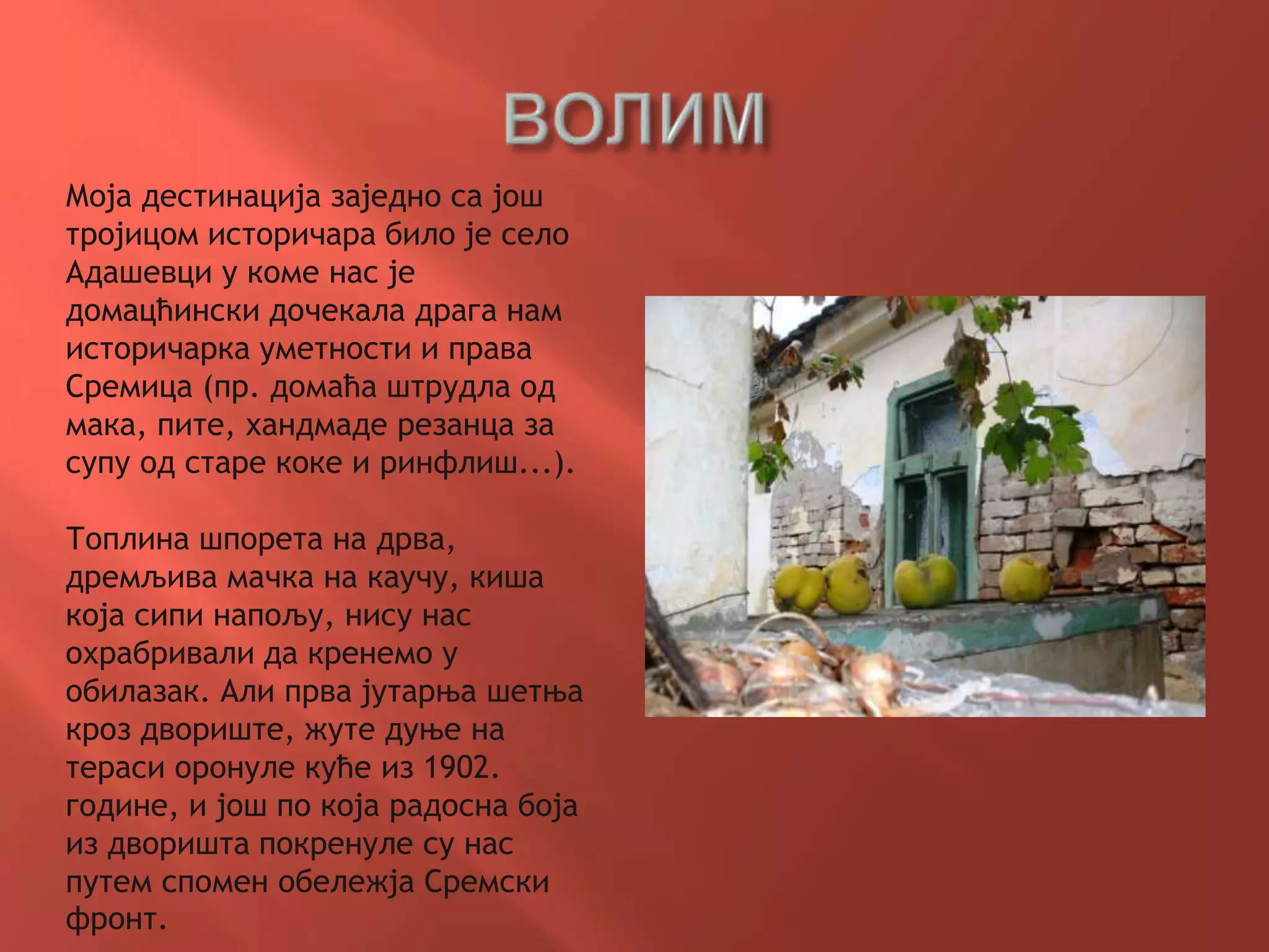Моја дестинација заједно са још
тројицом историчара било је село
Адашевци у коме нас је
домацћински дочекала драга нам
историчарка уметности и права
Сремица (пр. домаћа штрудла од
мака, пите, хандмаде резанца за
супу од старе коке и ринфлиш...).
Топлина шпорета на дрва,
дремљива мачка на каучу, киша
која сипи напољу, нису нас
охрабривали да кренемо у
обилазак. Али прва јутарња шетња
кроз двориште, жуте дуње на
тераси оронуле куће из 1902.
године, и још по која радосна боја
из дворишта покренуле су нас
путем спомен обележја Сремски
фронт.
 