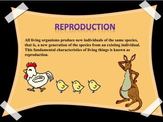 All living organisms produce new individuals of the same species,
that is, a new generation of the species from an existing individual.
This fundamental characteristics of living things is known as
reproduction.
 