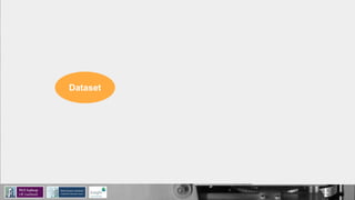 Dataset
 