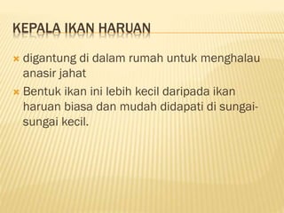 Adat dan kepercayaan orang asli