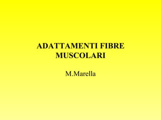Adattamenti fibre muscolari