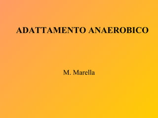 Adattamento anaerobico