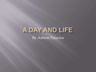 A Day and Life  By Ashton Palacios 