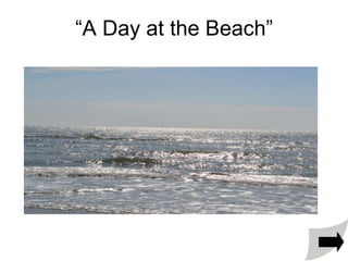 “A Day at the Beach”
 