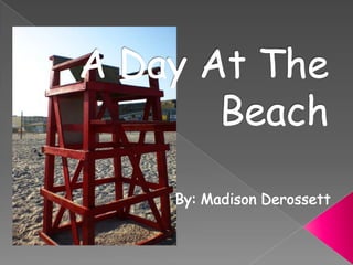A Day At The Beach By: Madison Derossett 
