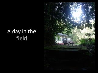 A day in the 
   field
 