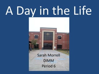 A Day in the Life Sarah Morrell DIMM Period 6 