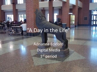 “A Day in the Life”

  Adrianna Eckford
   Digital Media
     1st period
 