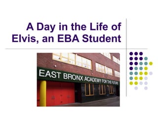 A Day in the Life of Elvis, an EBA Student 