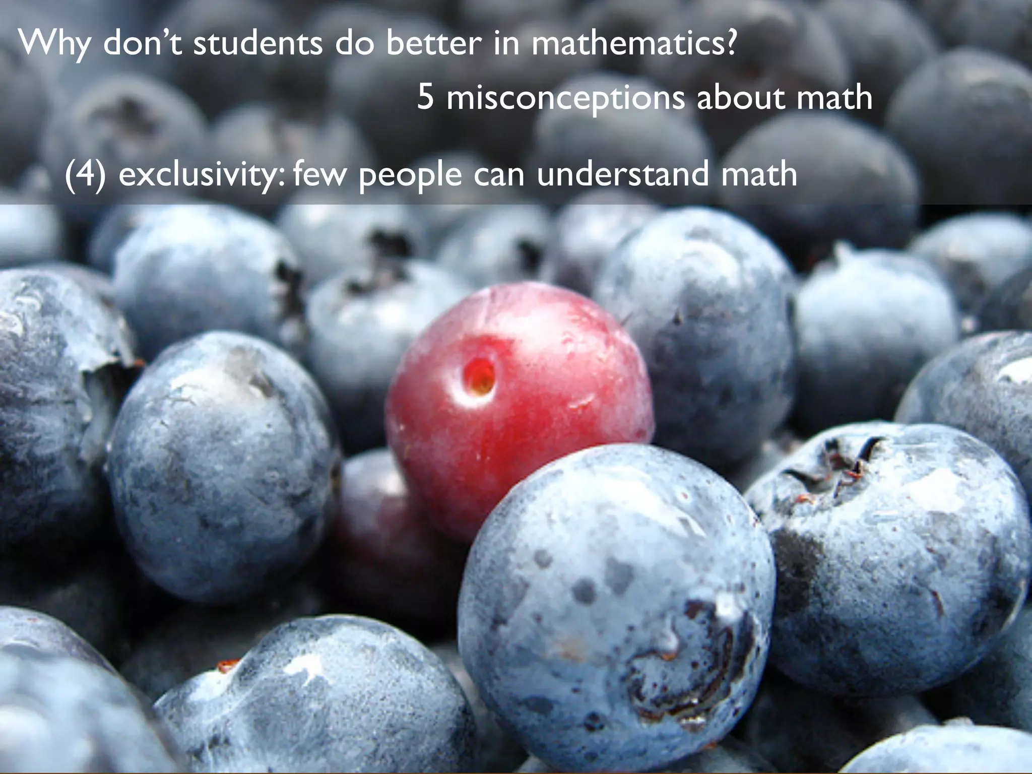 A Day In The Life V4