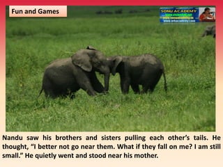 Fun and Games
Nandu saw his brothers and sisters pulling each other’s tails. He
thought, “I better not go near them. What if they fall on me? I am still
small.” He quietly went and stood near his mother.
 