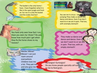 The basket is the only home I
have. I have forgotten what it is
like in the open jungle and fresh
air. For me it is only the basket
and the snake charmer! You see me in circus – dancing and
jumping They make us dance and
dance and dance. Even if we don’t
want to or we are in pain. That too,
with anempty stomach!
You have only seen how fast I run.
Have you seen my ‘shoes’? Do you
know how much pain I get when
they fix the horse shoes to my
hooves?
They make us dance and
dance and dance. Even if
we don’t want to or we are
in pain. That too, with an
empty stomach!
Meow! Meow!
Meow! I can just
roam around
everywhere.
Children love me
a lot. They pat me
and also give me
milk.
Gurtargoo! Gurtargoo!
Do you know people specially call out
to me to feed grain.
 