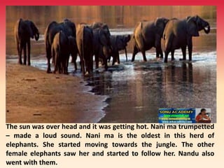 The sun was over head and it was getting hot. Nani ma trumpetted
– made a loud sound. Nani ma is the oldest in this herd of
elephants. She started moving towards the jungle. The other
female elephants saw her and started to follow her. Nandu also
went with them.
 