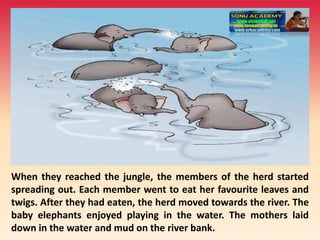 When they reached the jungle, the members of the herd started
spreading out. Each member went to eat her favourite leaves and
twigs. After they had eaten, the herd moved towards the river. The
baby elephants enjoyed playing in the water. The mothers laid
down in the water and mud on the river bank.
 
