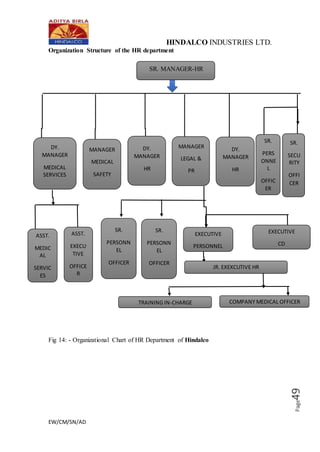 telekom malaysia organization chart - Joseph Knox