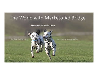 The World with Marketo Ad Bridge
Marketo 1st Party Data
Digital Advertising Marketing Automation
 