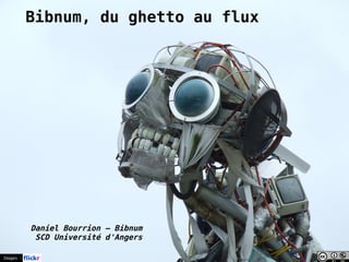 Bibnum, du ghetto au flux
Daniel Bourrion – Bibnum
SCD Université d'Angers
Images :
 