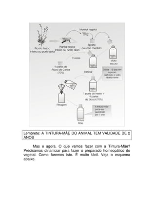 Lembrete: A TINTURA-MÃE DO ANIMAL TEM VALIDADE DE 2
ANOS
Mas e agora. O que vamos fazer com a Tintura-Mãe?
Precisamos dinamizar para fazer o preparado homeopático do
vegetal. Como faremos isto. É muito fácil. Veja o esquema
abaixo.
 