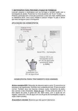 7. BIOTERÁPICO PARA PREVENIR ATAQUE DE FORMIGAS
Lava-pé: preparar o bioterápico com as formigas e também pode usar a
homeopatia do adubo. Pulverizar no início do plantio, de 15 em 15 dias.
Pretinha (parecida com a lava-pé) pulverizar o solo com Apis mellifica 5CH
ou Belladona 6CH. Uma outra medida é colocar vinagre no pão e deixar
que elas carreguem para o formigueiro
APLICAÇÃO DA HOMEOPATIA
HOMEOPATIA PARA TRATAMENTO DOS ANIMAIS
Arnica montana 6CH: Retenção de placenta após o parto. É preventiva do
estresse e da hipertensão. Contribui com a descida do leite. É para ter parto
normal. Também atua nos traumas (choque, susto, transtorno) do parto,
das vacinas e das chicotadas. Modo de usar: 15 dias antes do parto e 15
dias depois do parto, 6 gotas por dia. Além disso, com a ajuda de um
regador, coloca-se 1 litro de água com as 30 goras de homeopatia e regar a
ração (capim picado).
Anacardium orientale. Bezerros que não querem desmamar.
 