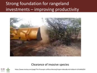 Climate-smart investments in rangelands: Climate-smart agriculture training for Asia Development Bank, Bangkok