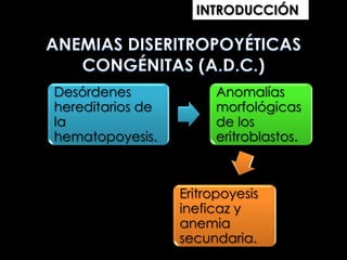 INTRODUCCIÓN

Desórdenes
hereditarios de
la
hematopoyesis.

Anomalías
morfológicas
de los
eritroblastos.

Eritropoyesis
ineficaz y
anemia
secundaria.

 