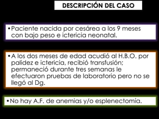 DESCRIPCIÓN DEL CASO

•Paciente nacida por cesárea a los 9 meses
con bajo peso e ictericia neonatal.
•A los dos meses de edad acudió al H.B.O. por
palidez e ictericia, recibió transfusión;
permaneció durante tres semanas le
efectuaron pruebas de laboratorio pero no se
llegó al Dg.

•No hay A.F. de anemias y/o esplenectomía.

 