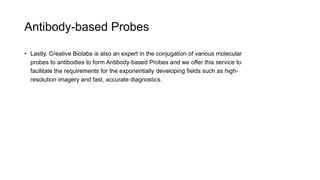 Antibody-based Probes
• Lastly, Creative Biolabs is also an expert in the conjugation of various molecular
probes to antibodies to form Antibody-based Probes and we offer this service to
facilitate the requirements for the exponentially developing fields such as high-
resolution imagery and fast, accurate diagnostics.
 