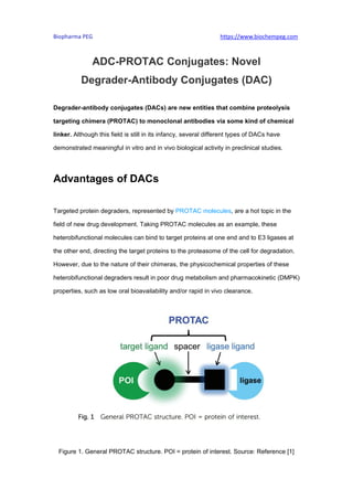 Biopharma PEG https://www.biochempeg.com
ADC-PROTAC Conjugates: Novel
Degrader-Antibody Conjugates (DAC)
Degrader-antibody conjugates (DACs) are new entities that combine proteolysis
targeting chimera (PROTAC) to monoclonal antibodies via some kind of chemical
linker. Although this field is still in its infancy, several different types of DACs have
demonstrated meaningful in vitro and in vivo biological activity in preclinical studies.
Advantages of DACs
Targeted protein degraders, represented by PROTAC molecules, are a hot topic in the
field of new drug development. Taking PROTAC molecules as an example, these
heterobifunctional molecules can bind to target proteins at one end and to E3 ligases at
the other end, directing the target proteins to the proteasome of the cell for degradation.
However, due to the nature of their chimeras, the physicochemical properties of these
heterobifunctional degraders result in poor drug metabolism and pharmacokinetic (DMPK)
properties, such as low oral bioavailability and/or rapid in vivo clearance.
Figure 1. General PROTAC structure. POI = protein of interest. Source: Reference [1]
 