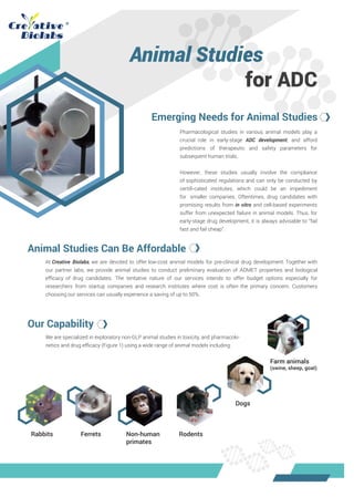 Animal Studies
for ADC
Emerging Needs for Animal Studies
Animal Studies Can Be Affordable
Our Capability
Pharmacological studies in various animal models play a
crucial role in early-stage ADC development, and afford
predictions of therapeutic and safety parameters for
subsequent human trials.
However, these studies usually involve the compliance
of sophisticated regulations and can only be conducted by
certiﬁ-cated institutes, which could be an impediment
for smaller companies. Oftentimes, drug candidates with
promising results from in vitro and cell-based experiments
suffer from unexpected failure in animal models. Thus, for
early-stage drug development, it is always advisable to “fail
fast and fail cheap”.
At Creative Biolabs, we are devoted to offer low-cost animal models for pre-clinical drug development. Together with
our partner labs, we provide animal studies to conduct preliminary evaluation of ADMET properties and biological
efﬁcacy of drug candidates. The tentative nature of our services intends to offer budget options especially for
researchers from startup companies and research institutes where cost is often the primary concern. Customers
choosing our services can usually experience a saving of up to 50%.
We are specialized in exploratory non-GLP animal studies in toxicity, and pharmacoki-
netics and drug efﬁcacy (Figure 1) using a wide range of animal models including
Rabbits Ferrets Non-human
primates
Rodents
Dogs
Farm animals
(swine, sheep, goat)
 