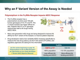 ©2013 Promega Corporation.
Promega CorporationPromega Corporation 10
Why an F Variant Version of the Assay is Needed
Polymorphism in the FcgRIIIa Receptor Impacts ADCC Response
FcyRIIIa
158F/V or F/F 158 V/V
>85% population ~10-15% population
Less efficient Ab
binding and ADCC
More efficient Ab
binding and ADCC
 The FcgRIIIa receptor has a
polymorphism at amino acid 158 with
human genotypes of VV, FV and FF. The
V variant receptor has higher affinity for
Abs. Patients with FV or FF genotype
respond less well to Ab drugs having
ADCC MOA.
 Many new generation mAb drugs are being designed to improve Ab
affinity for the F variant of the receptor, to improve patient response.
 Drug developers need a low variability ADCC bioassay specifically to
measure the new drug potency via the F158 variant of FcgRIIIa, and
regulatory agencies are asking for this information.
See the section beginning on page 34,
“Polymorphism in the FcgRIIIa Receptor”
for information on our newly developed
F Variant ADCC Reporter Bioassay.
V158
or
F158
 