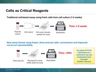 ©2013 Promega Corporation.
Promega CorporationPromega Corporation 12
Cells as Critical Reagents
Traditional cell-based assay using fresh cells from cell culture (1-2 weeks)
Cell culture Cell count, harvest,
prepare for assay
Thaw for
culture
Read plates
New assay format using frozen, thaw-and-use cells: convenience and improved
run-to-run reproducibility
Thaw-and-Use Resuspend in assay
buffer, plate for assay
Read plates
Time: 1-2 weeks
Time: <24hr
See pages 50-51 for
information on a
convenient, low cost
luminometer from
Promega:
GloMax® Discover
 