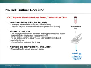 ©2013 Promega Corporation.
Promega CorporationPromega Corporation 13
No Cell Culture Required
ADCC Reporter Bioassay features Frozen, Thaw-and-Use Cells
1. Human cell lines (Jurkat, WIL2-S, Raji)
- Developed for immediate thaw-and-use in bioassay
- Designed for good recovery and robust response upon thawing
2. Thaw-and-Use format
- Cell propagation conditions & defined freezing protocol control assay
performance for a consistent bioassay response
- No pre-culturing prior to assay means less variability introduced
- Indefinite storage
- Identical cells in bioassay, day to day
3. Minimizes pre-assay planning, time & labor
- Ample cell banks provide long-term supply
means no
cell culture
required
Thaw-and-Use
cells
+
 