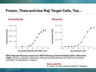 ©2013 Promega Corporation.
Promega CorporationPromega Corporation 16
Frozen, Thaw-and-Use Raji Target Cells, Too…
ADCC Reporter Bioassay response to ADCC Bioassay Control Antibody (left) or Rituximab
(right). The EC50 response using frozen, thaw-and-use Raji cells was 59.7ng/ml for Control Ab,
Anti-CD20. For Rituximab, 17.0ng/ml.
Kit Control Ab Rituximab
Assay specifics:
E:T ratio = 6:1; 6hr induction; Bio-Glo™ Reagent
 