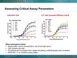 ©2013 Promega Corporation.
Promega CorporationPromega Corporation 19
Assessing Critical Assay Parameters
Induction time E:T ratio (constant Effector cell #)
Other parameters tested:
 Assay buffer: serum concentration, use of low IgG serum
 Cell numbers per well
 Pre-plating and incubation time: target cell plating, antibody/target cells incubation
 White flat-, V- or U-bottom assay plates
 