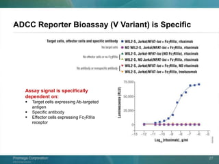 ©2013 Promega Corporation.
Promega CorporationPromega Corporation 27
ADCC Reporter Bioassay (V Variant) is Specific
Assay signal is specifically
dependent on:
 Target cells expressing Ab-targeted
antigen
 Specific antibody
 Effector cells expressing FcgRIIIa
receptor
 