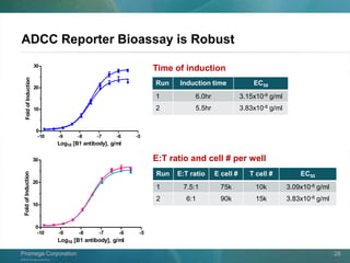 ©2013 Promega Corporation.
Promega CorporationPromega Corporation 28
ADCC Reporter Bioassay is Robust
-10 -9 -8 -7 -6 -5
0
10
20
30
1
6
7
14
Log10 [B1 antibody], g/ml
FoldofInduction
-10 -9 -8 -7 -6 -5
0
10
20
30
1
1
7
13
16
Log10 [B1 antibody], g/ml
FoldofInduction
Time of induction
E:T ratio and cell # per well
Run Induction time EC50
1 6.0hr 3.15x10-8 g/ml
2 5.5hr 3.83x10-8 g/ml
Run E:T ratio E cell # T cell # EC50
1 7.5:1 75k 10k 3.09x10-8 g/ml
2 6:1 90k 15k 3.83x10-8 g/ml
 