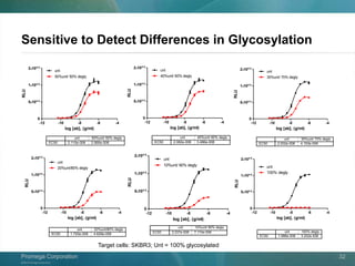 ©2013 Promega Corporation.
Promega CorporationPromega Corporation 32
Deglycosylated Herceptin
-12 -10 -8 -6 -4
0
5100 5
1100 6
2100 6
unt
10%unt/ 90% degly
EC50
unt
2.037e-008
10%unt/ 90% degly
7.174e-008
log [ab], (g/ml)
RLU
Deglycosylated Herceptin
-12 -10 -8 -6 -4
0
5100 5
1100 6
2100 6
unt
100% degly
EC50
unt
1.988e-008
100% degly
3.202e-008
log [ab], (g/ml)
RLU
Deglycosylated Herceptin
-12 -10 -8 -6 -4
0
5100 5
1100 6
2100 6
EC50
unt
1.720e-008
20%unt/80% degly
4.626e-008
unt
20%unt/80% degly
log [ab], (g/ml)
RLU
Deglycosylated Herceptin
-12 -10 -8 -6 -4
0
5100 5
1100 6
2100 6
unt
30%unt/ 70% degly
EC50
unt
2.002e-008
30%unt/ 70% degly
4.153e-008
log [ab], (g/ml)
RLU
Deglycosylated Herceptin
-12 -10 -8 -6 -4
0
5100 5
1100 6
2100 6
unt
40%unt/ 60% degly
EC50
unt
2.082e-008
40%unt/ 60% degly
3.486e-008
log [ab], (g/ml)RLU
Deglycosylated Herceptin
-12 -10 -8 -6 -4
0
5100 5
1100 6
2100 6
unt
50%unt/ 50% degly
EC50
unt
2.110e-008
50%unt/ 50% degly
2.990e-008
log [ab], (g/ml)
RLU
Target cells: SKBR3; Unt = 100% glycosylated
Sensitive to Detect Differences in Glycosylation
 