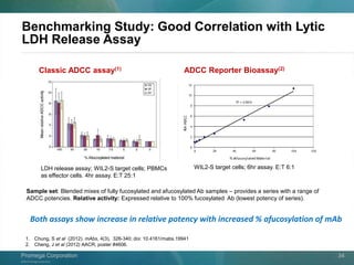 ©2013 Promega Corporation.
Promega CorporationPromega Corporation 34
Sample set: Blended mixes of fully fucosylated and afucosylated Ab samples – provides a series with a range of
ADCC potencies. Relative activity: Expressed relative to 100% fucosylated Ab (lowest potency of series).
Both assays show increase in relative potency with increased % afucosylation of mAb
WIL2-S target cells; 6hr assay. E:T 6:1LDH release assay; WIL2-S target cells; PBMCs
as effector cells. 4hr assay. E:T 25:1
Benchmarking Study: Good Correlation with Lytic
LDH Release Assay
Classic ADCC assay(1) ADCC Reporter Bioassay(2)
1. Chung, S et al (2012). mAbs, 4(3), 326-340; doi: 10.4161/mabs.19941
2. Cheng, J et al (2012) AACR, poster #4606.
 