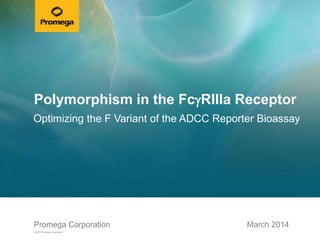 Promega CorporationPromega Corporation
©2013 Promega Corporation.
March 2014
Polymorphism in the FcgRIIIa Receptor
Optimizing the F Variant of the ADCC Reporter Bioassay
 