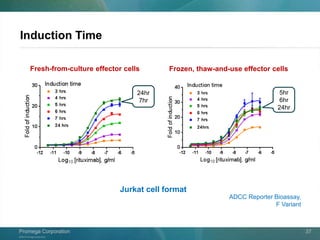 ©2013 Promega Corporation.
Promega CorporationPromega Corporation 37
Induction Time
Fresh-from-culture effector cells Frozen, thaw-and-use effector cells
24hr
7hr
5hr
6hr
24hr
Jurkat cell format
ADCC Reporter Bioassay,
F Variant
 