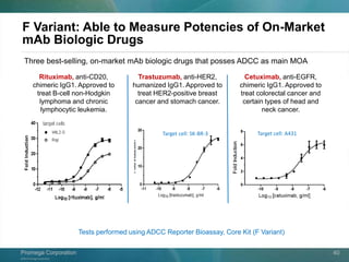 ©2013 Promega Corporation.
Promega CorporationPromega Corporation 40
F Variant: Able to Measure Potencies of On-Market
mAb Biologic Drugs
Rituximab, anti-CD20,
chimeric IgG1. Approved to
treat B-cell non-Hodgkin
lymphoma and chronic
lymphocytic leukemia.
Trastuzumab, anti-HER2,
humanized IgG1. Approved to
treat HER2-positive breast
cancer and stomach cancer.
Cetuximab, anti-EGFR,
chimeric IgG1. Approved to
treat colorectal cancer and
certain types of head and
neck cancer.
Target cell: SK-BR-3 Target cell: A431
Three best-selling, on-market mAb biologic drugs that posses ADCC as main MOA
Tests performed using ADCC Reporter Bioassay, Core Kit (F Variant)
 