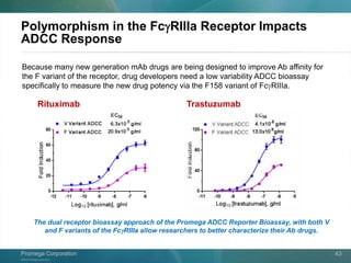 ©2013 Promega Corporation.
Promega CorporationPromega Corporation 43
Polymorphism in the FcgRIIIa Receptor Impacts
ADCC Response
Because many new generation mAb drugs are being designed to improve Ab affinity for
the F variant of the receptor, drug developers need a low variability ADCC bioassay
specifically to measure the new drug potency via the F158 variant of FcgRIIIa.
Rituximab Trastuzumab
The dual receptor bioassay approach of the Promega ADCC Reporter Bioassay, with both V
and F variants of the FcgRIIIa allow researchers to better characterize their Ab drugs.
 