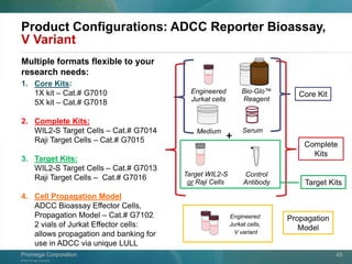 ©2013 Promega Corporation.
Promega CorporationPromega Corporation 45
Product Configurations: ADCC Reporter Bioassay,
V Variant
Engineered
Jurkat cells
Bio-Glo™
Reagent
Control
Antibody
Target WIL2-S
or Raji Cells
Core Kit
Complete
Kits
+Medium Serum
1. Core Kits:
1X kit – Cat.# G7010
5X kit – Cat.# G7018
2. Complete Kits:
WIL2-S Target Cells – Cat.# G7014
Raji Target Cells – Cat.# G7015
3. Target Kits:
WIL2-S Target Cells – Cat.# G7013
Raji Target Cells – Cat.# G7016
4. Cell Propagation Model
ADCC Bioassay Effector Cells,
Propagation Model – Cat.# G7102
2 vials of Jurkat Effector cells:
allows propagation and banking for
use in ADCC via unique LULL
Target Kits
Multiple formats flexible to your
research needs:
Engineered
Jurkat cells,
V variant
Propagation
Model
 